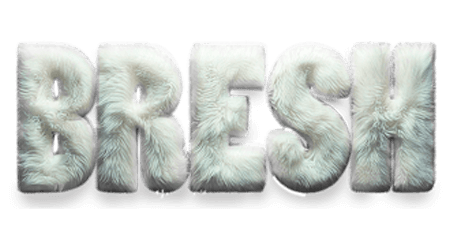 LOGO BRESH LA PINILLA